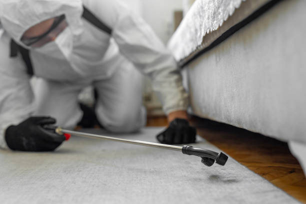 Professional Bed Bug Control technician working in Rio Bravo, TX