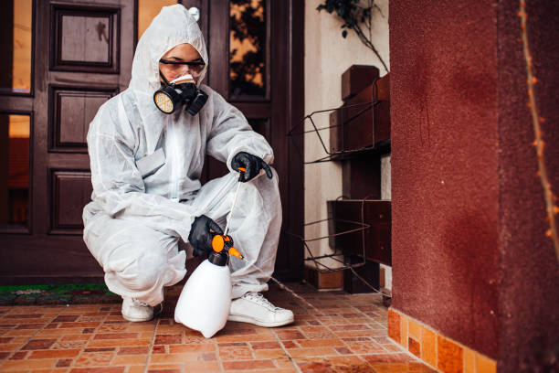 Reliable Bed Bug Control contractor in Rio Bravo, TX by Nex Pest Control
